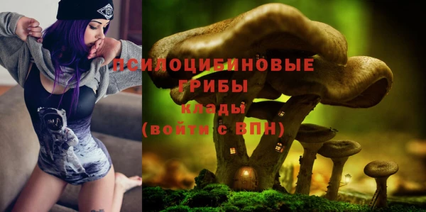 ПСИЛОЦИБИНОВЫЕ ГРИБЫ Алексин